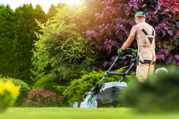 Healthier Grass, Be er Growth 