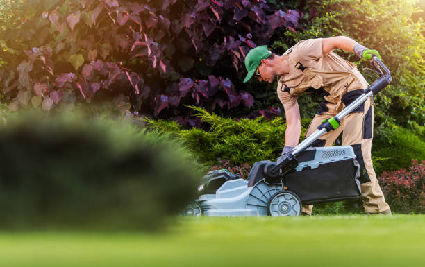 Fresh Lawn, Every Week 