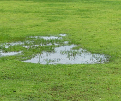 Protect Your Yard From Pooling, Mud & Water Damage 