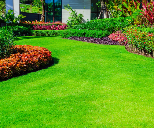 Fresh Outdoor Design.