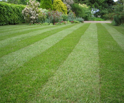 Smooth Ground, Fresh Lawn 